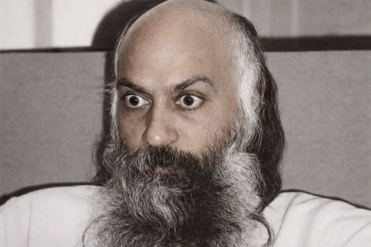 The Wild Geese and the Water