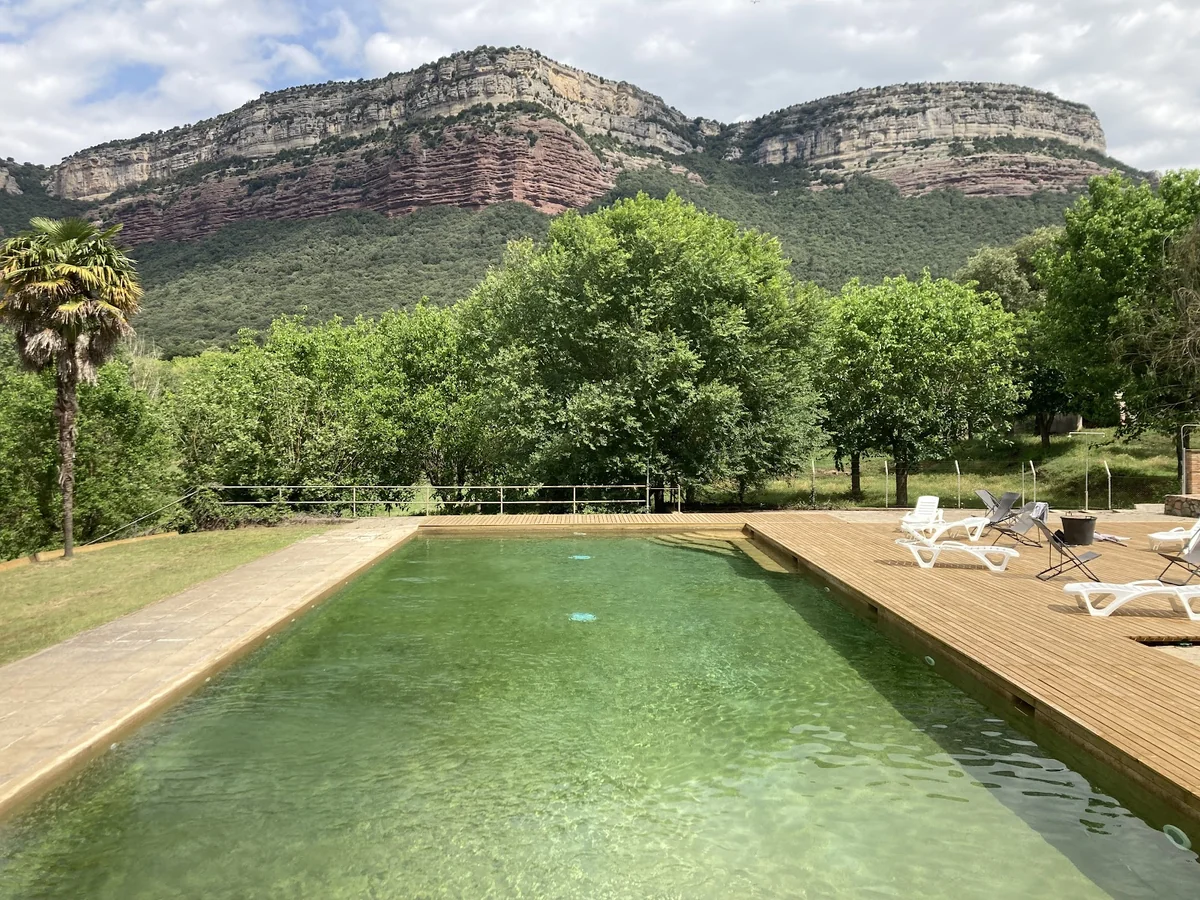 Ashiyana Yoga Retreat Centre — photo 3