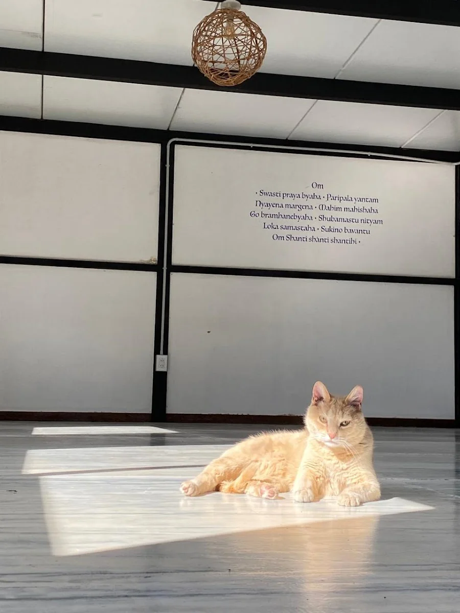Ashtanga Mendoza Templo — photo 3