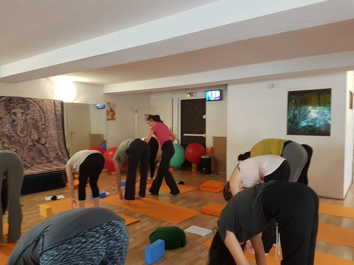 Auroville Holistic Yoga & Meditation Therapy — photo 2