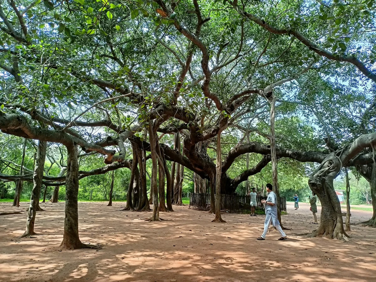Auroville Matrimandir — photo 3