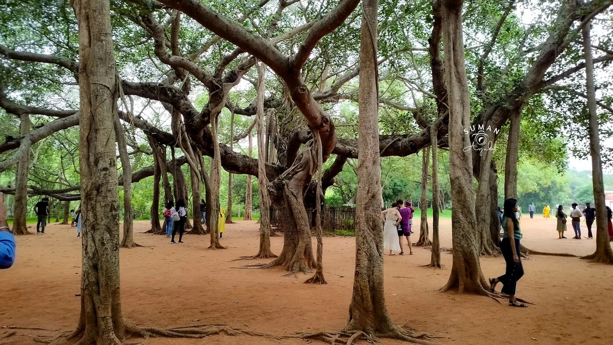 Auroville: The City of Dawn — photo 2