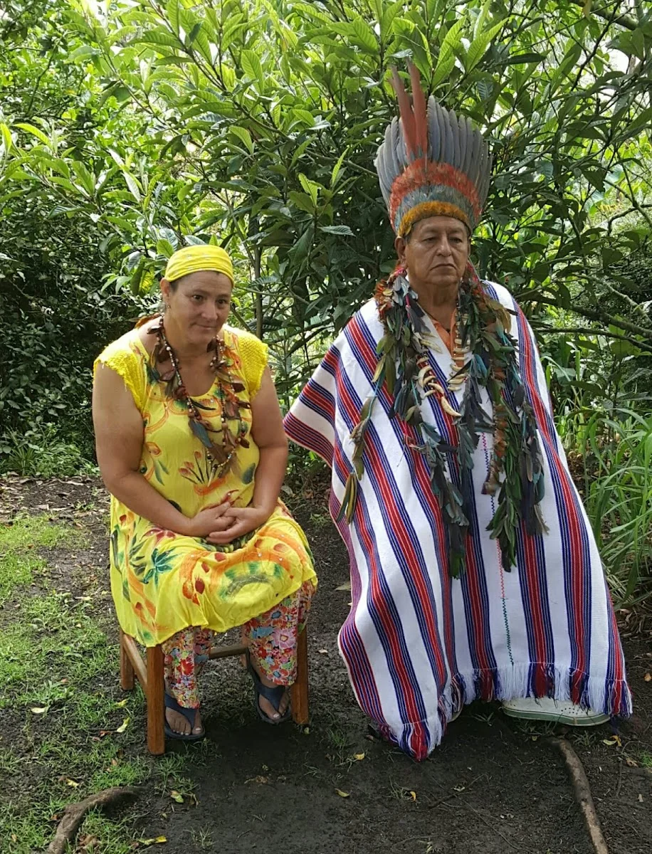 AUTHENTIC AYAHUASCA RETREAT IN COLOMBIA ( Psychotravels.co )
