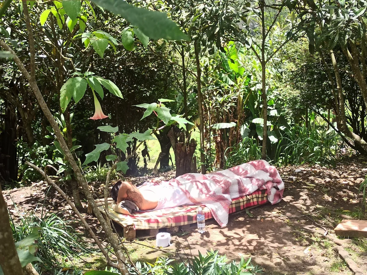 AUTHENTIC AYAHUASCA RETREAT IN COLOMBIA ( Psychotravels.co ) — photo 2