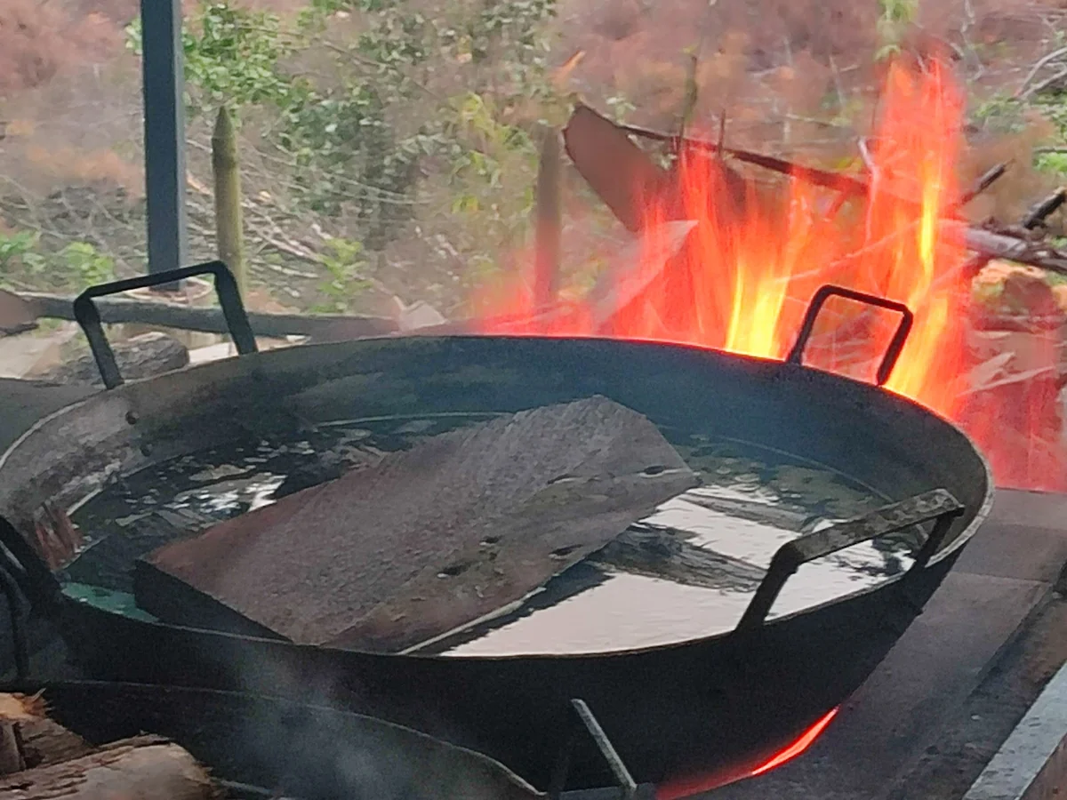 AUTHENTIC AYAHUASCA RETREAT IN COLOMBIA ( Psychotravels.co ) — photo 3