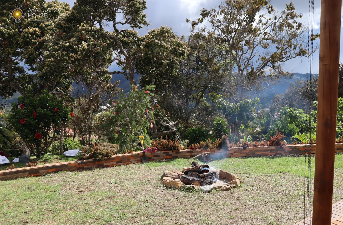 Ayahuasca House — photo 2