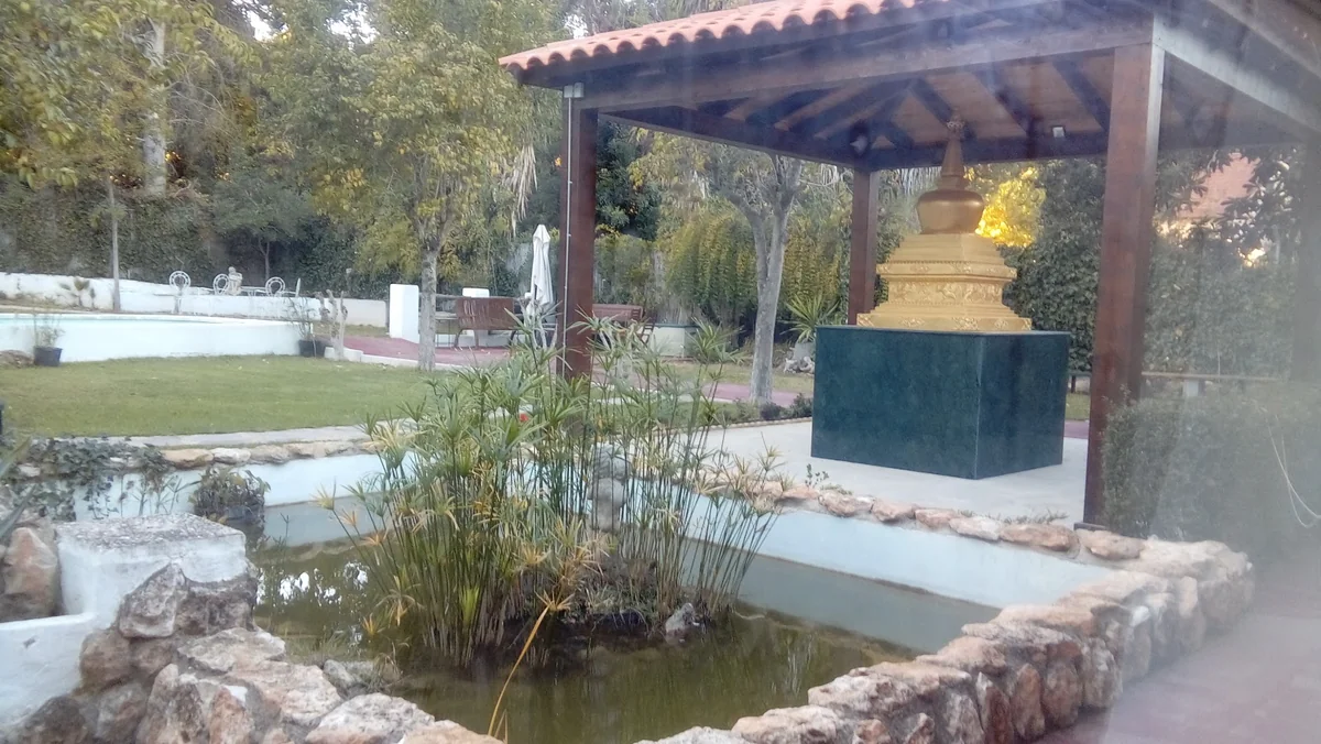 Bodhi Path — photo 2