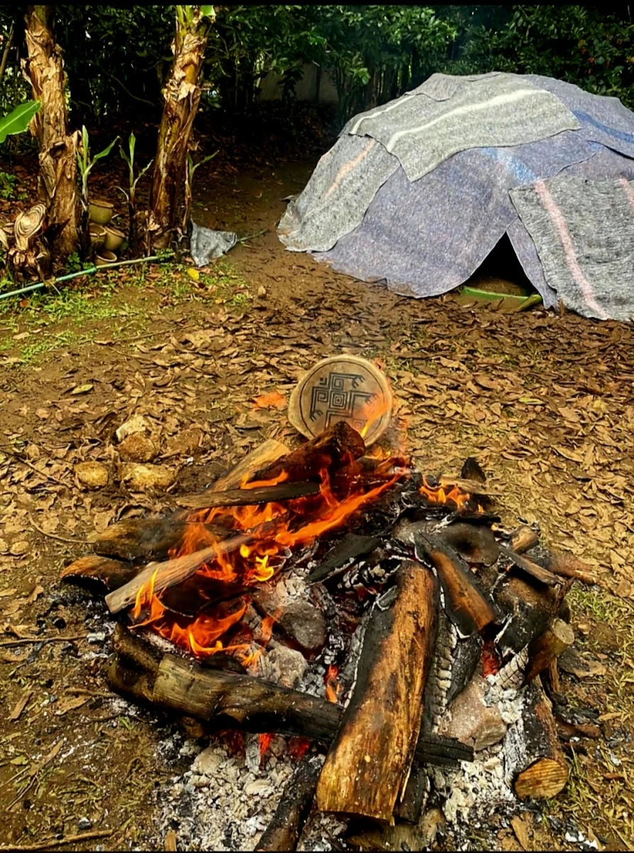 Dharma Medellin - Ayahuasca Retreat