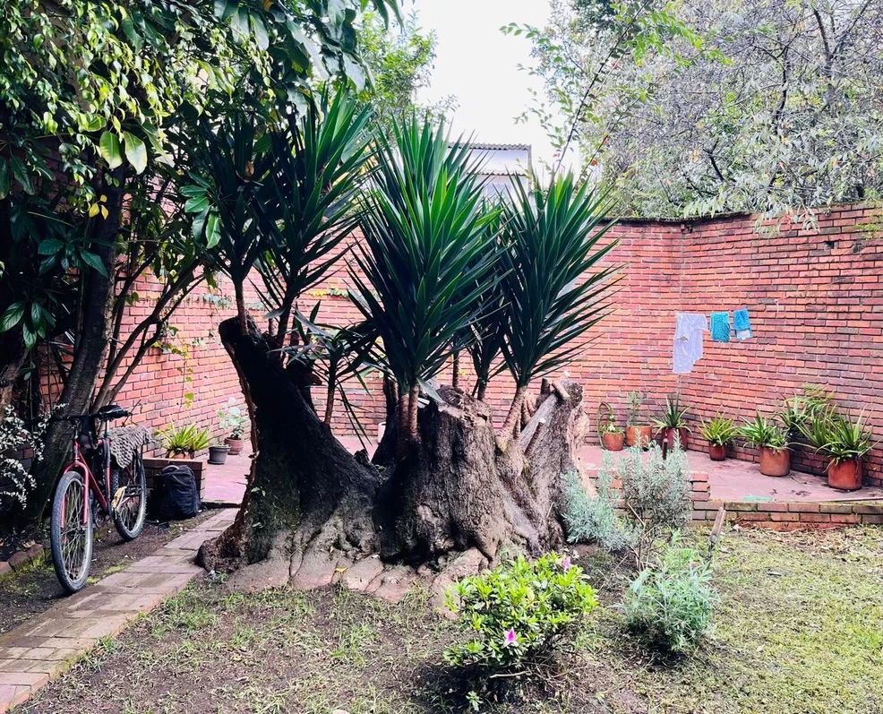 Dojo Zen La Soledad — photo 3