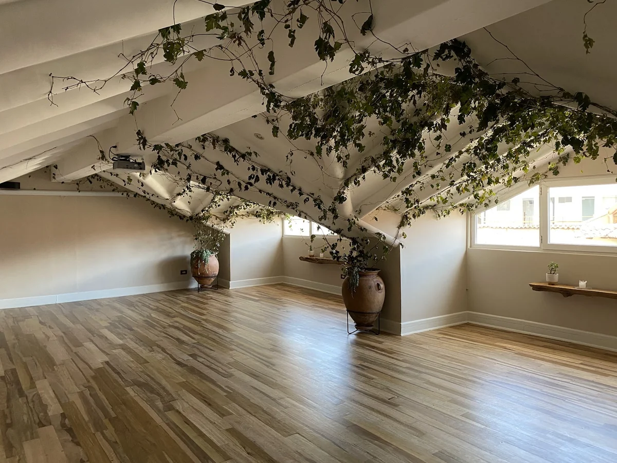 Exhala Yoga — photo 2