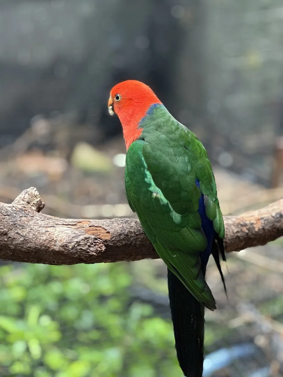 Gondwana Sanctuary — photo 3
