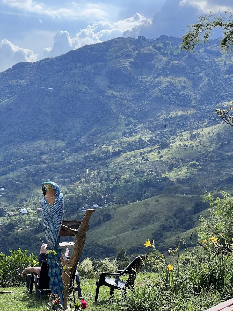 Harmonica Ayahuasca Retreat Colombia (formerly Guacamayo) — photo 3