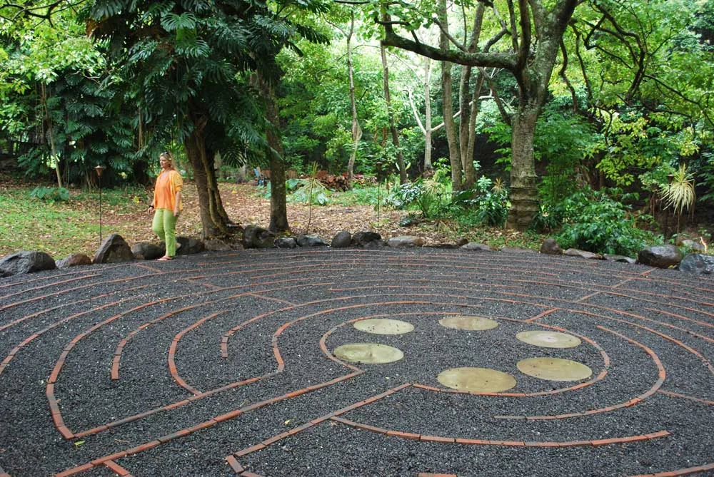 Heart Path Journeys