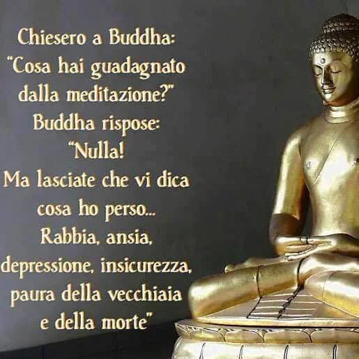 Il centro del Caos - Osho Sidhai Med Center — photo 3
