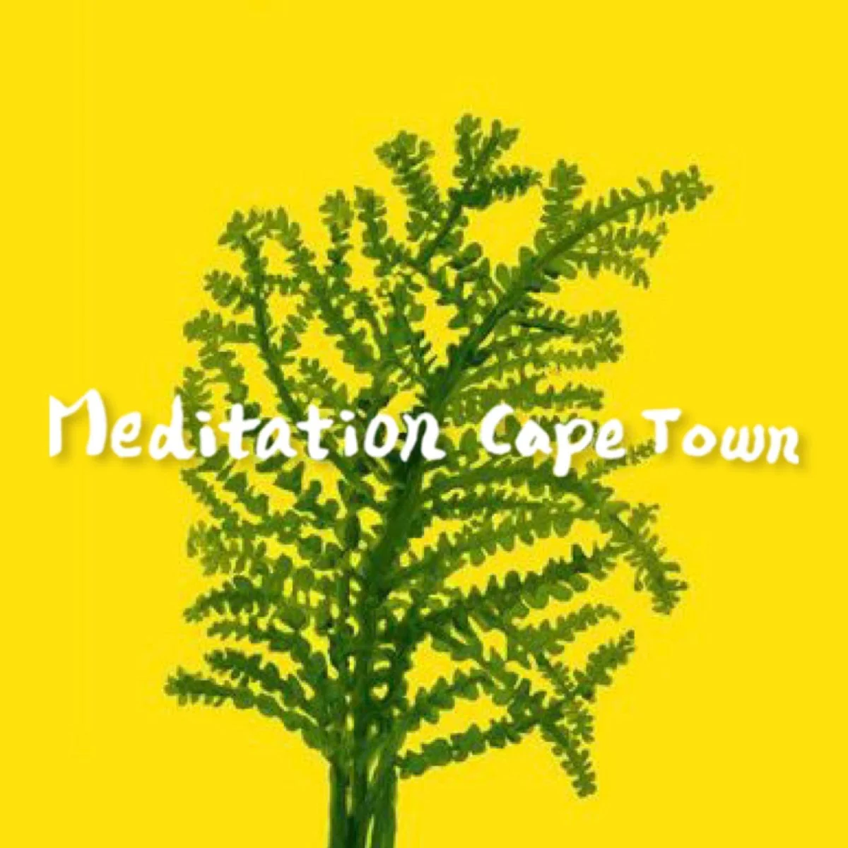 Meditation Cape Town