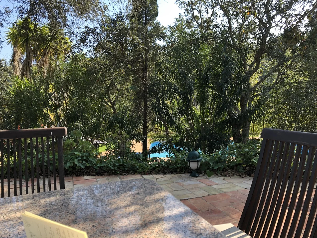 Moinhos Velhos Juice Detox & Yoga Retreat — photo 3