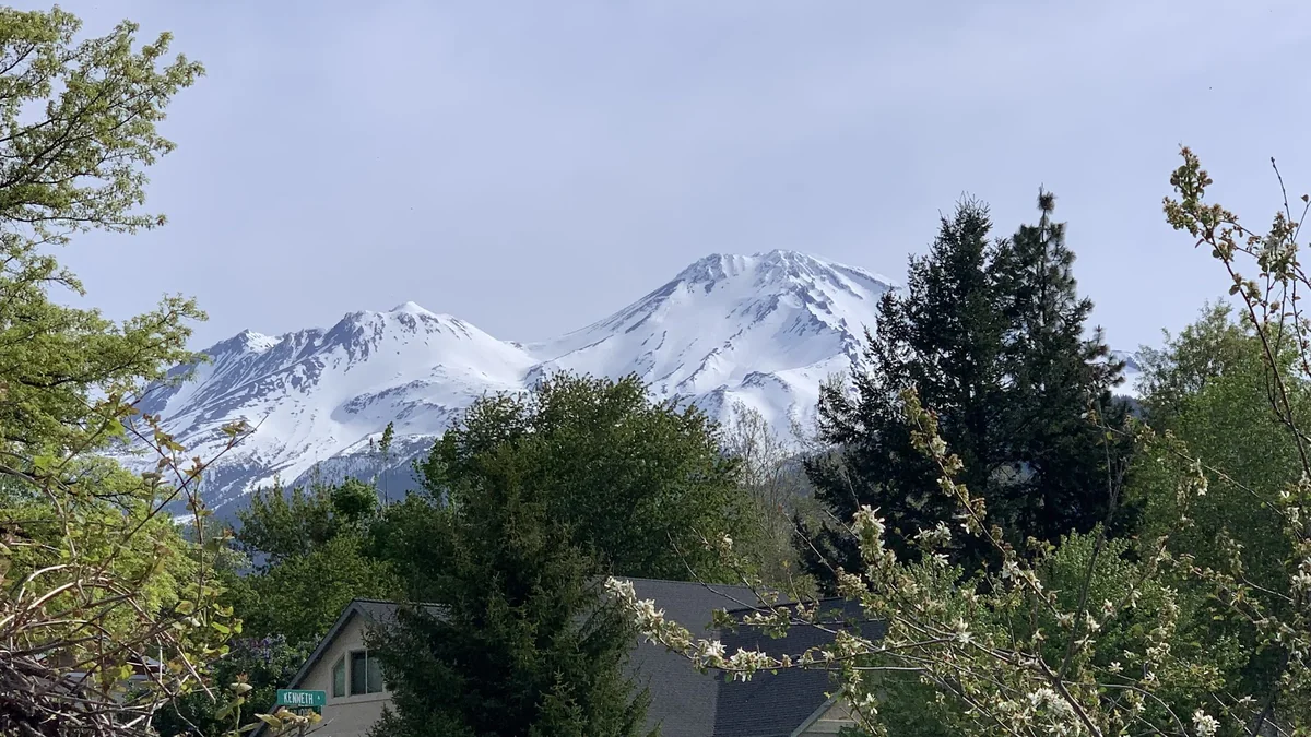 Mount Shasta Retreats — photo 2