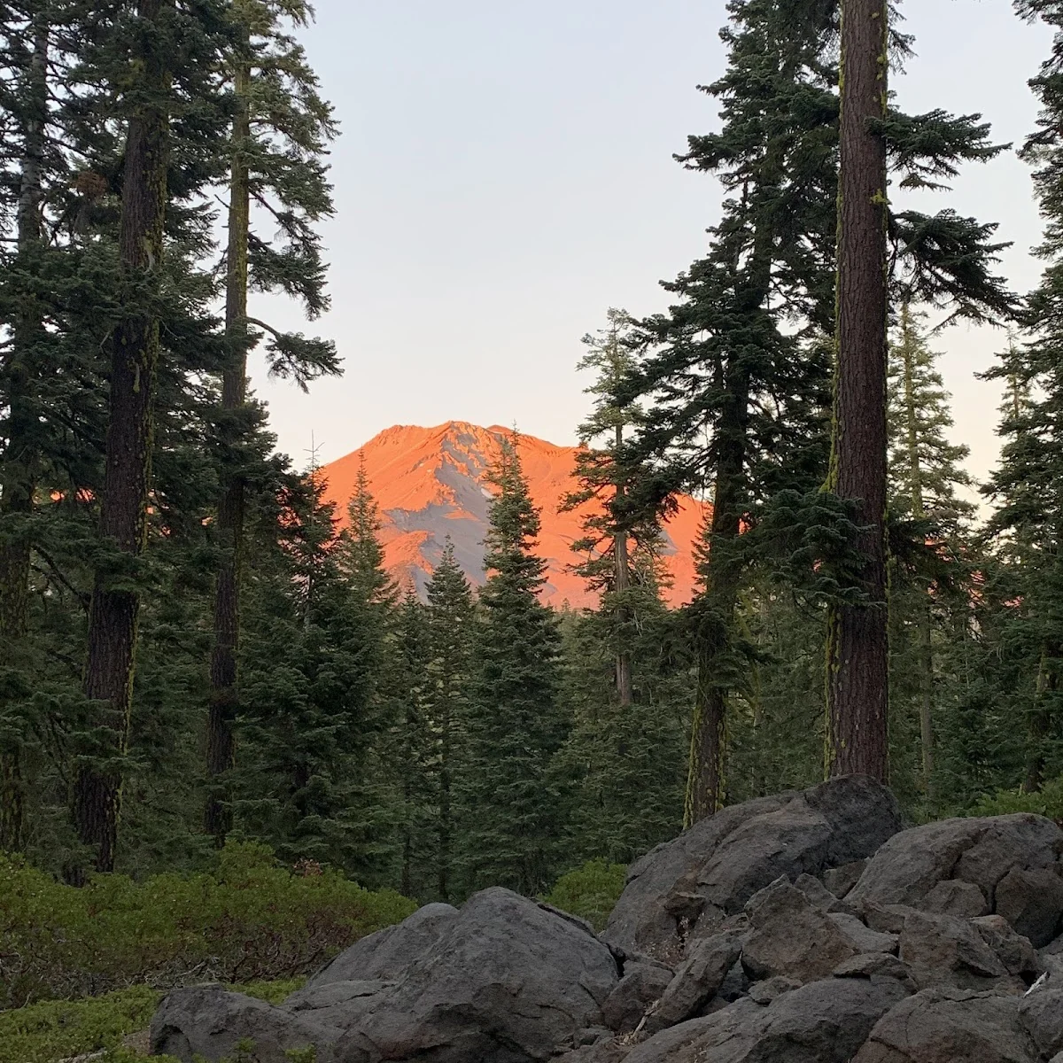 Mount Shasta Retreats — photo 3
