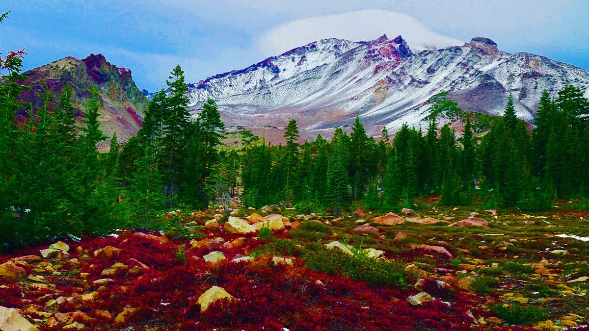 Mt Shasta Spiritual Tours