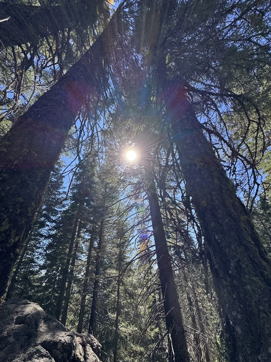 Mt Shasta Spiritual Tours — photo 3