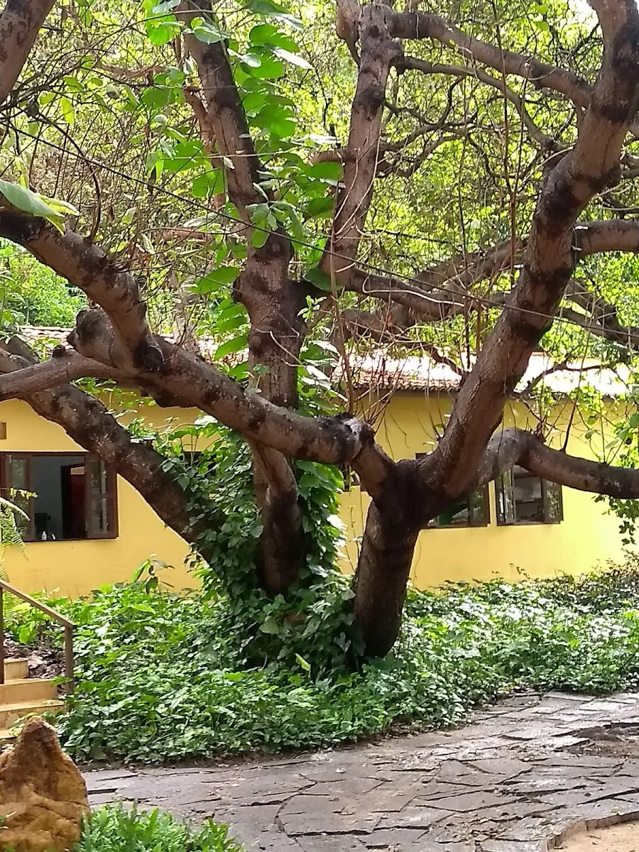Osheanic Retreat Center — photo 2