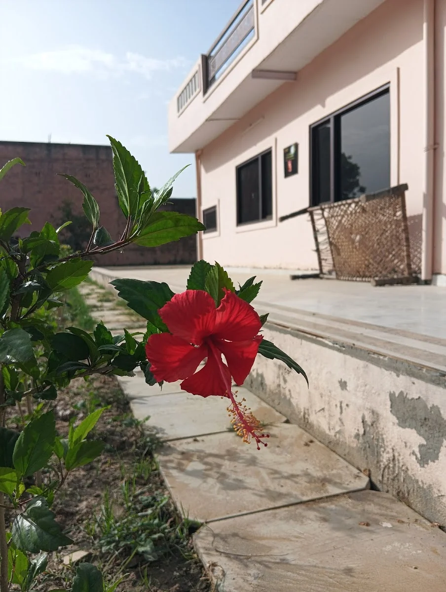 Osho Amrit Upvan — photo 3