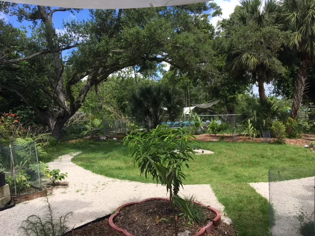 Osho Bodhisattva Meditation Garden — photo 2
