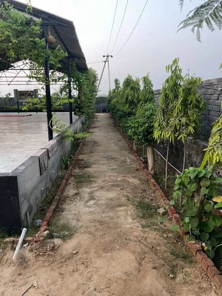 OSHO DHYAN MANDIR (ODM) — photo 3