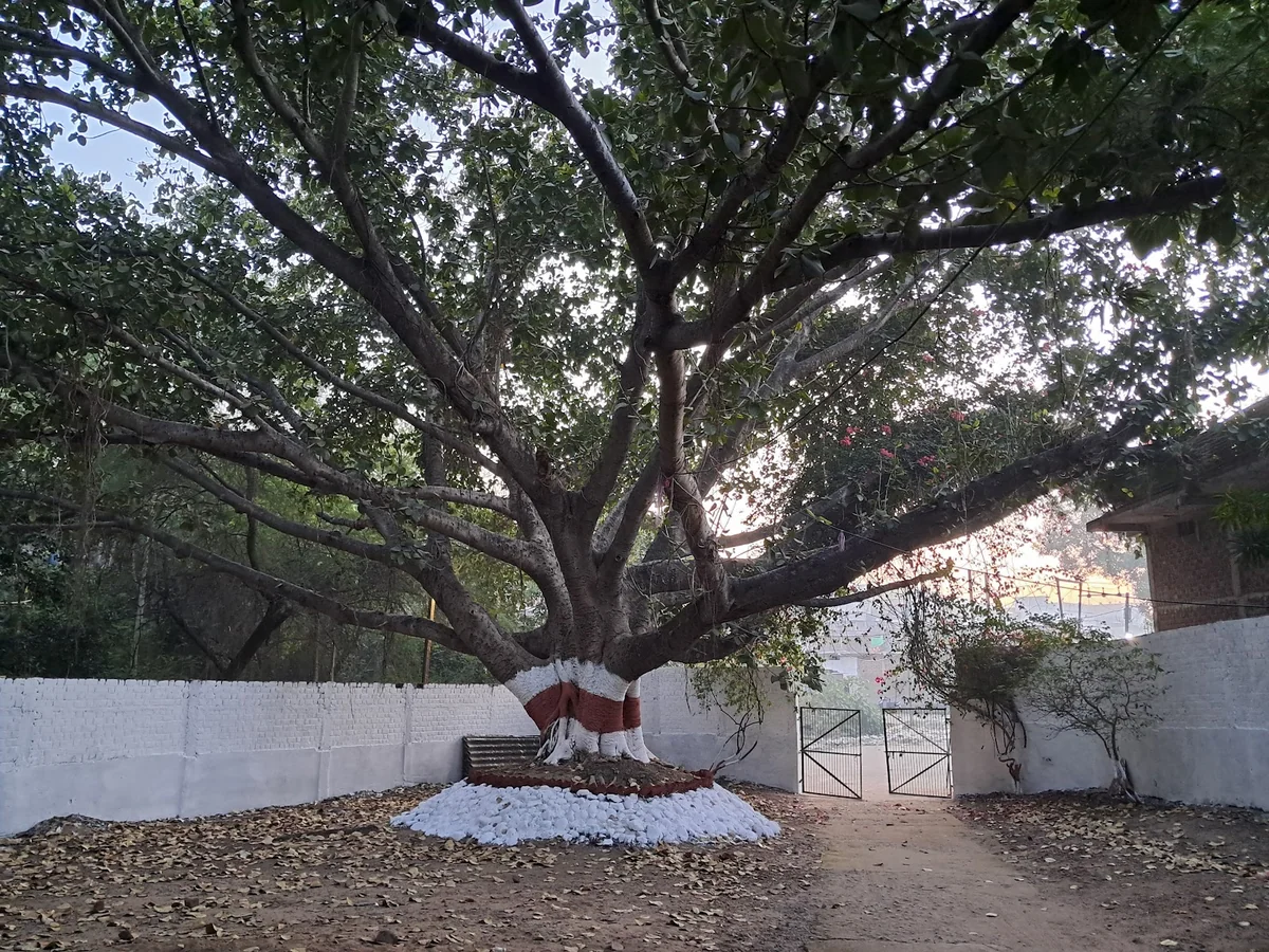 OSHO LEELA ASHRAM — photo 3