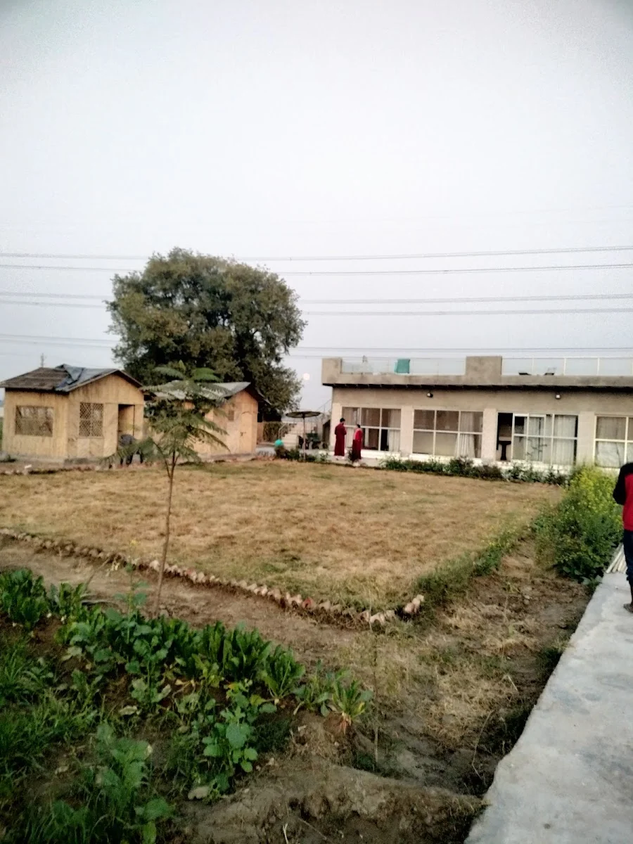 Osho Madhushala