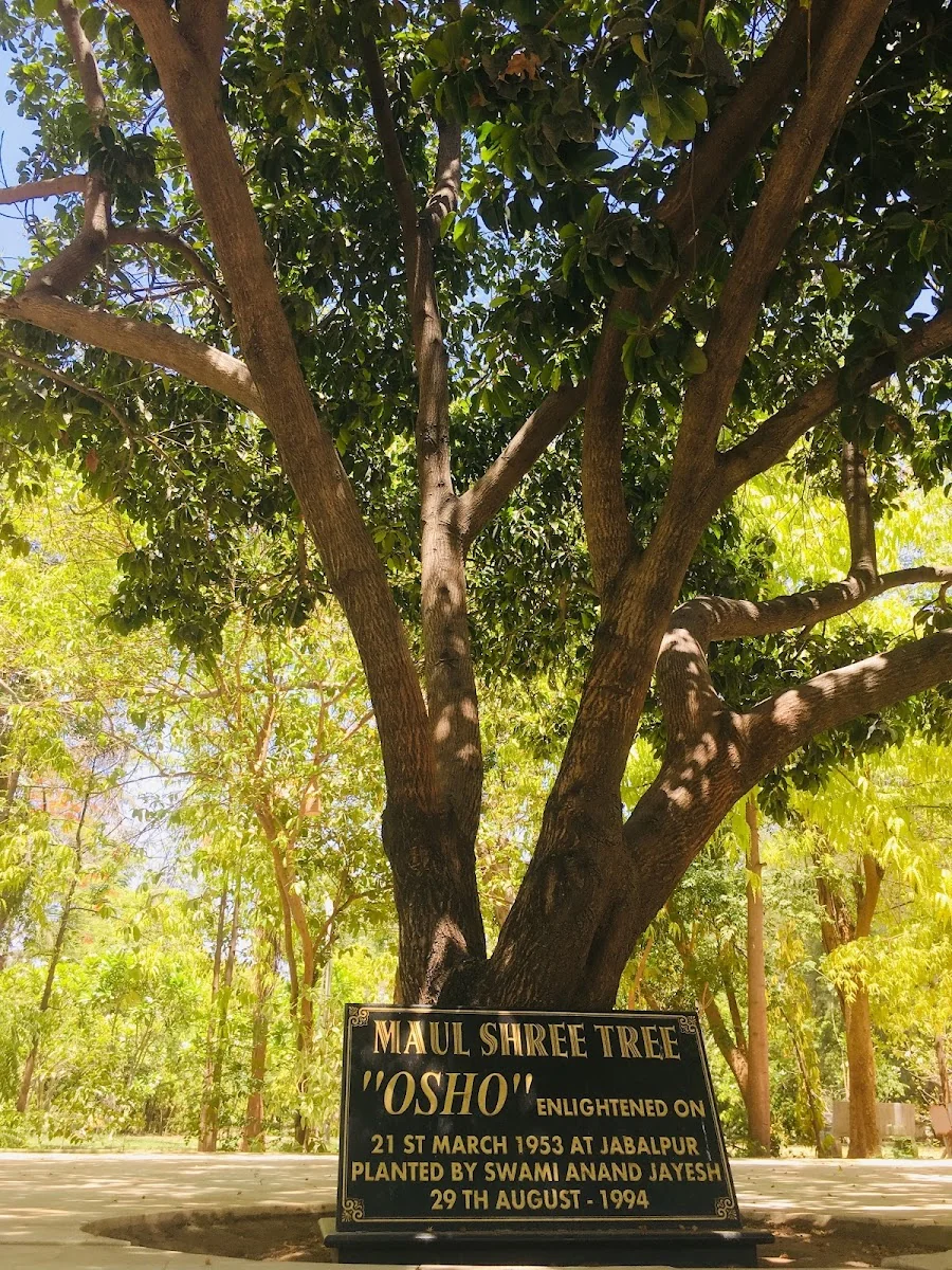 Osho Manan Neo-Sannyas Commune — photo 3