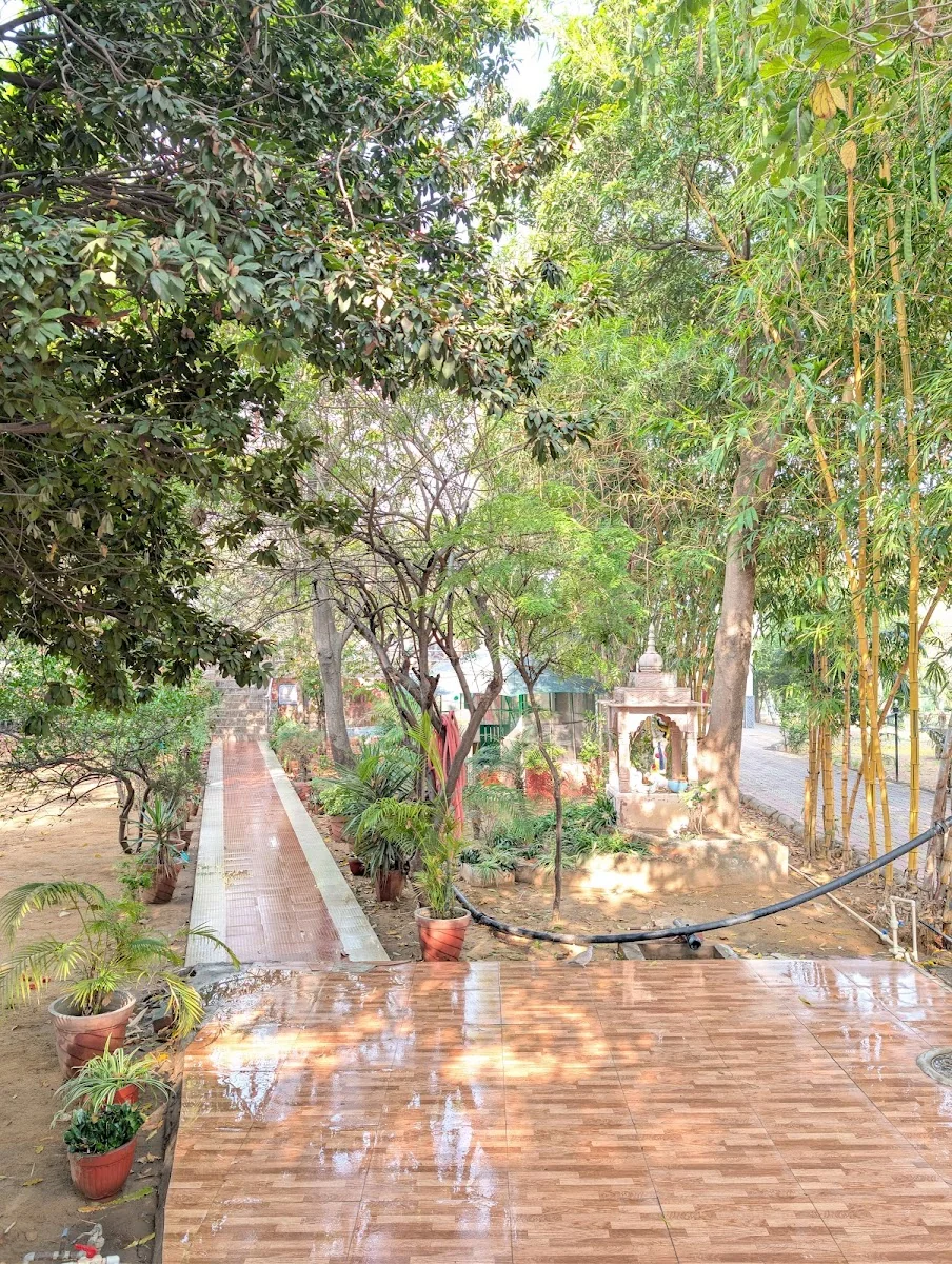 Osho Meditation Center