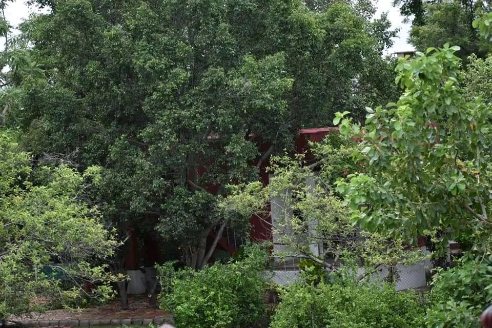 Osho Meditation Center — photo 3