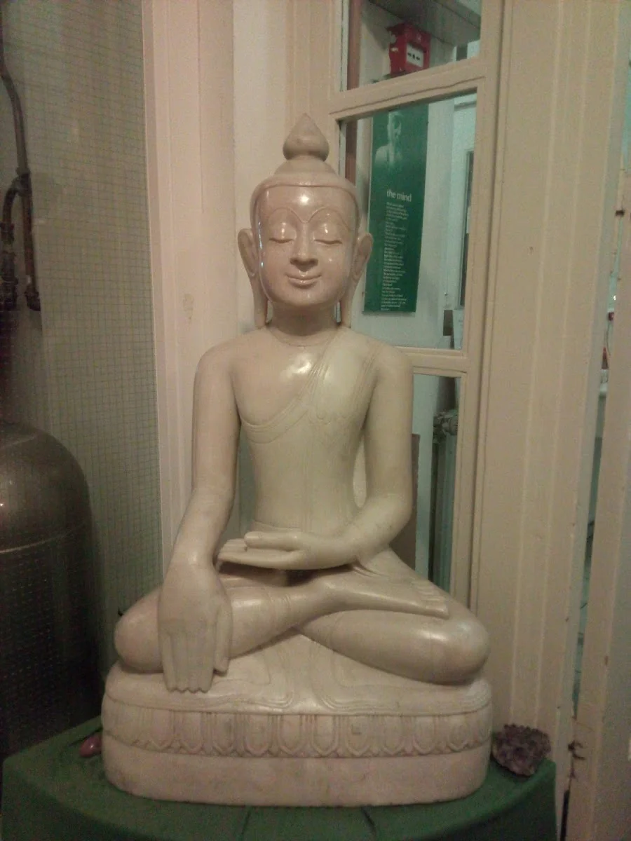 Osho Mevlana Commune — photo 3