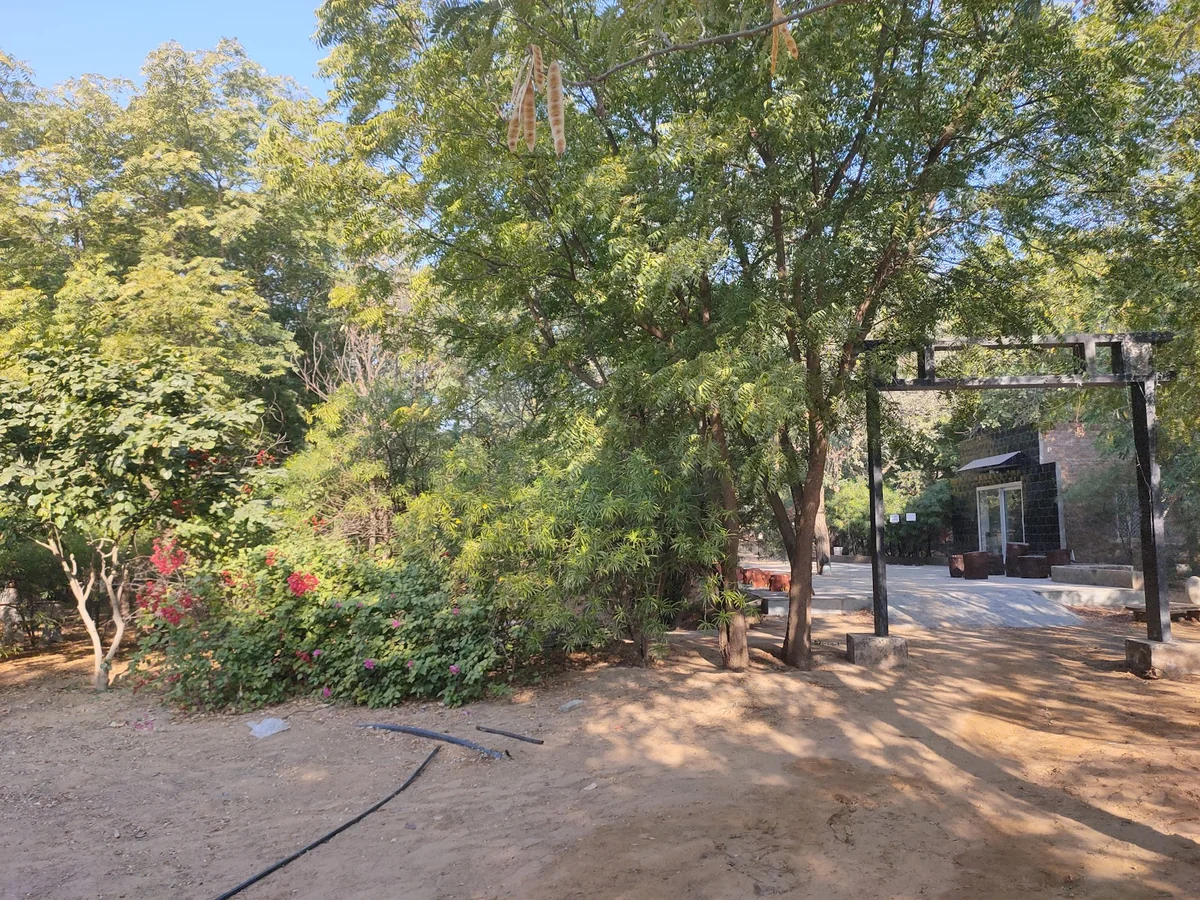 Osho Oasis Dhyan Ashram — photo 2