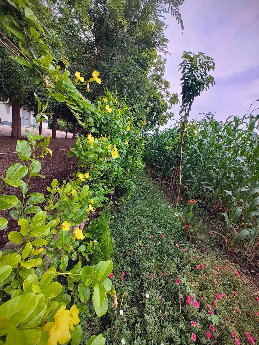 Osho samarpan ashram — photo 3