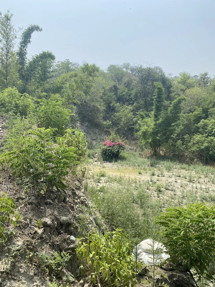 Osho Silence Valley — photo 2