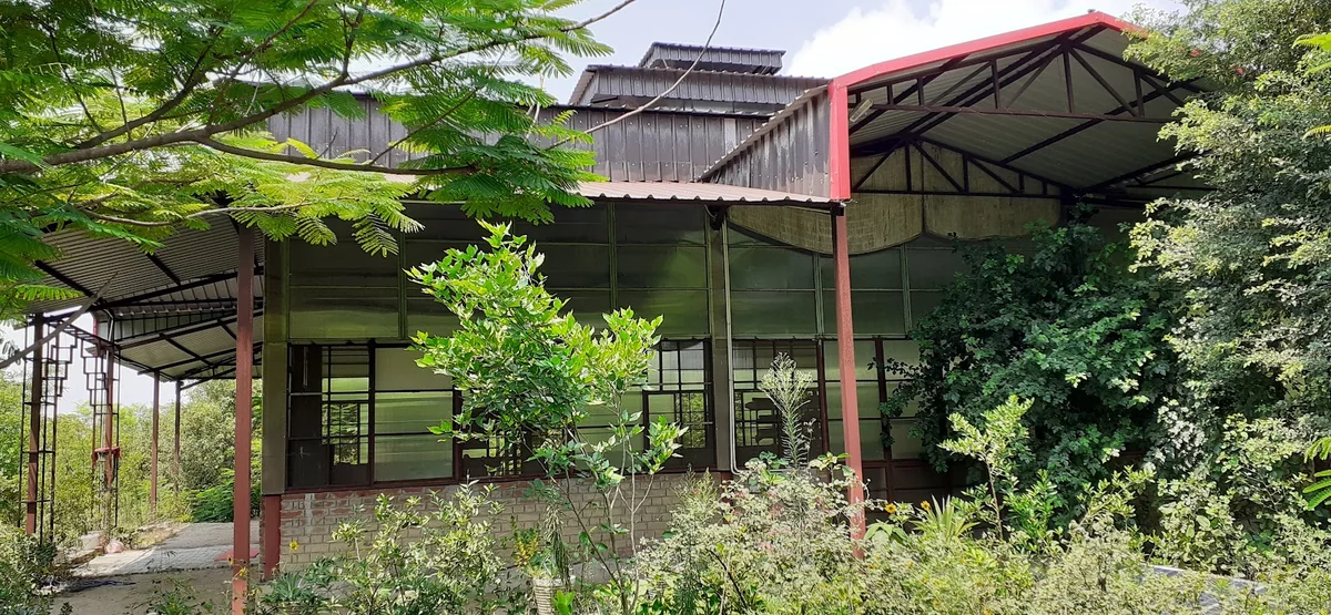 Osho Silence Valley — photo 3