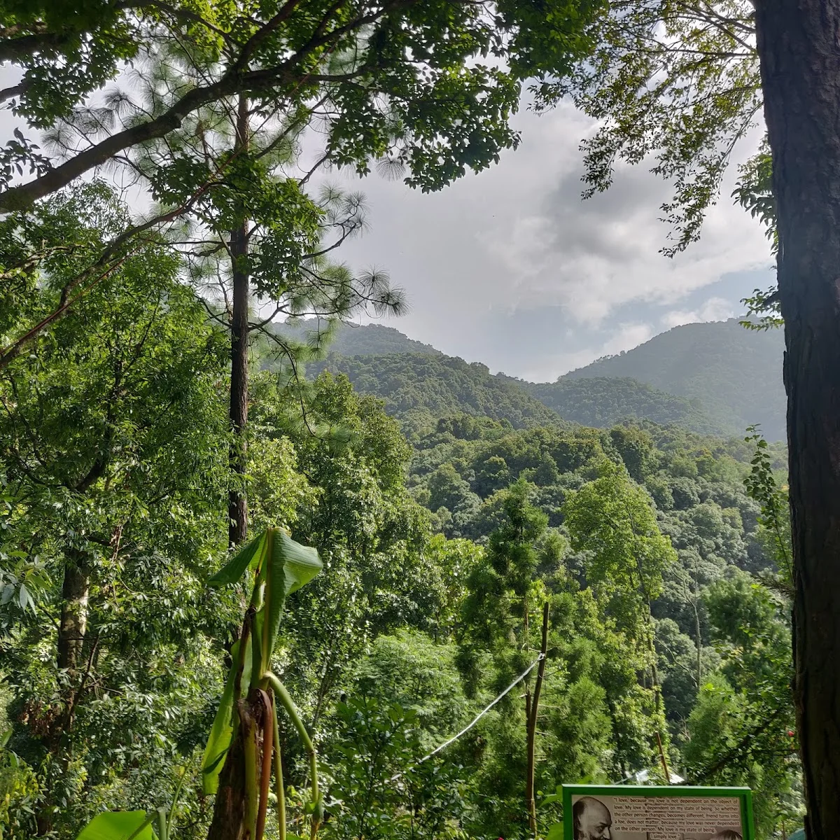 Osho Tapoban International Commune — photo 2