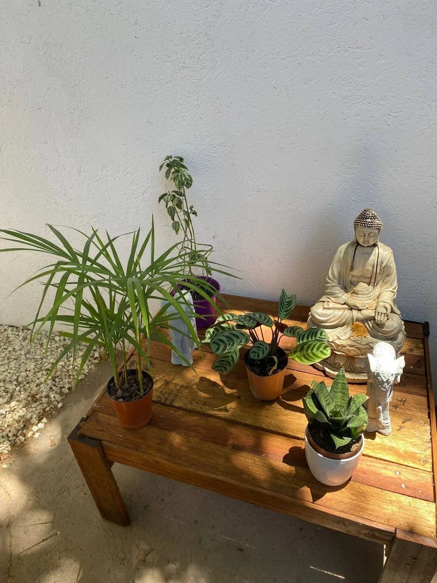 Sabach meditación — photo 3