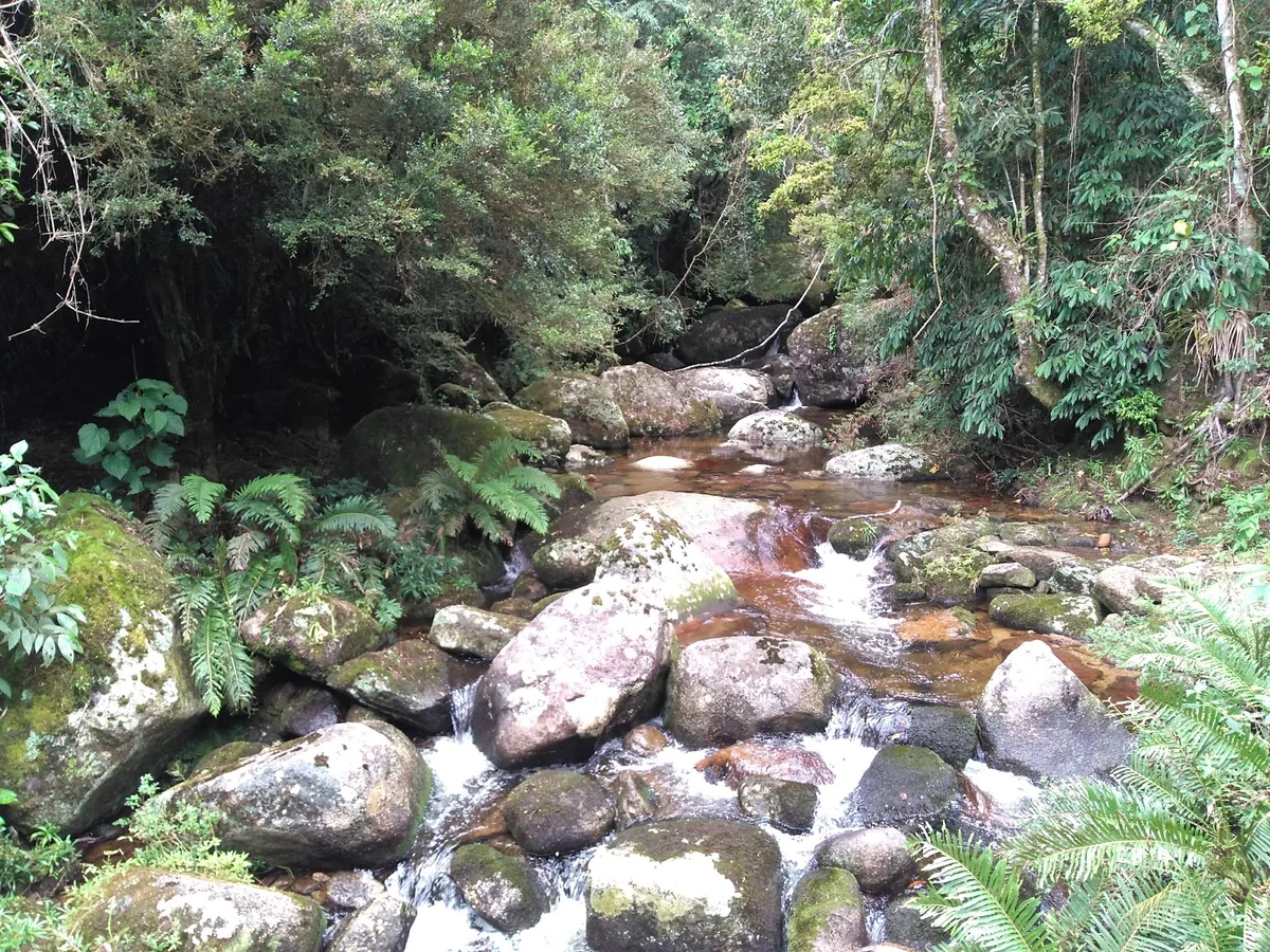 Shiva Ashram Brasil — photo 2