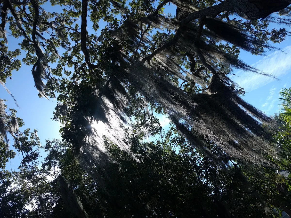 St. Petersburg Shambhala Center — photo 3