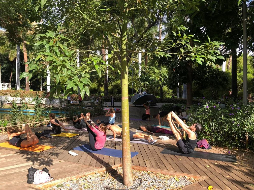 Tenerife Ashtanga Shala — photo 2