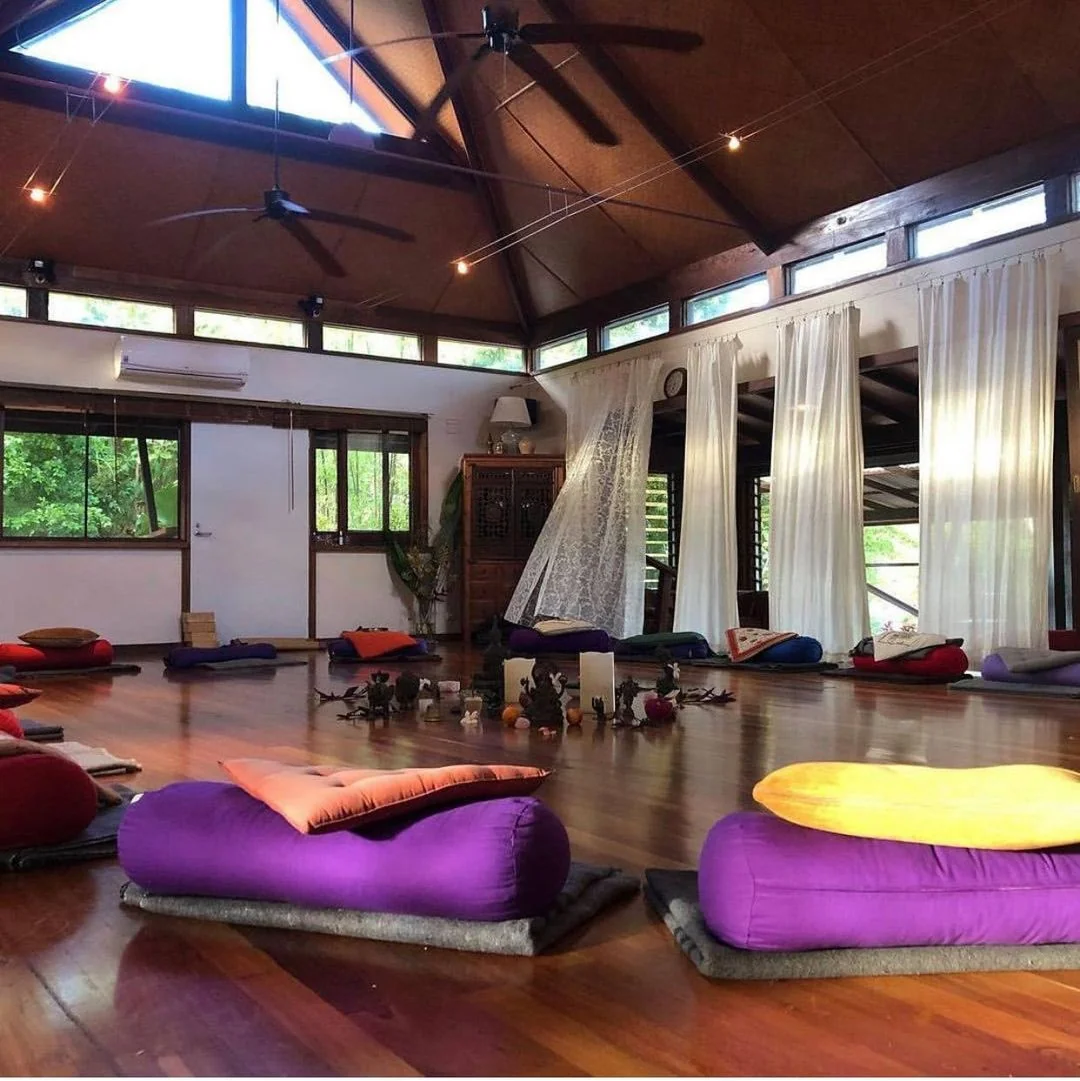 The Medicine of Mindfulness Retreat — photo 2