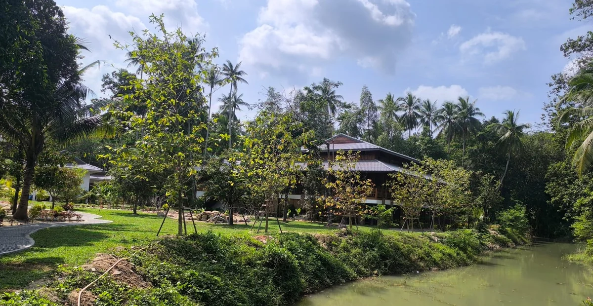 The Yoga House