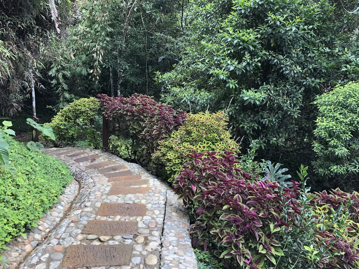 Vanadurga Ashram Santuario de Yoga — photo 2